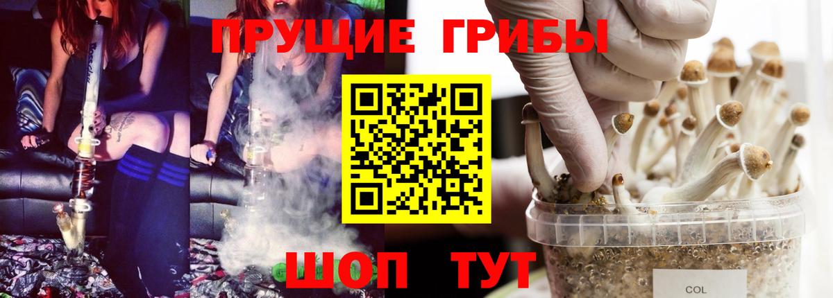 Качканар  Псилоцибиновые грибы мицелий  Вход с VPN 