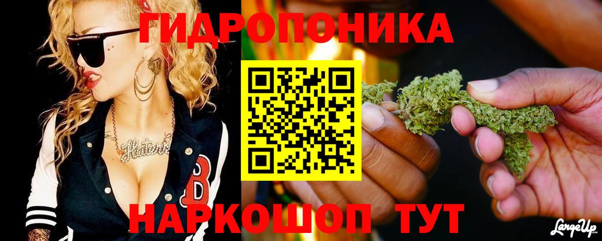 Конопля SATIVA & INDICA  Каннабис ГИДРОПОН  Вход с VPN  Качканар  Конопля VHQ  Канабис план 